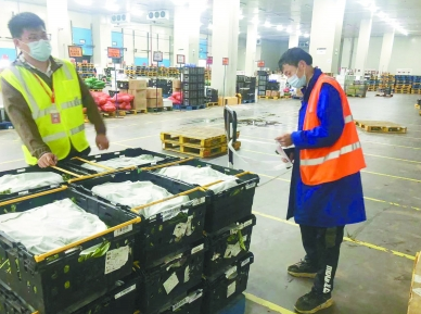 手動(dòng)液壓搬運(yùn)車(chē)確保蔬菜保鮮上市