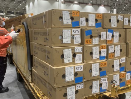 倉(cāng)儲(chǔ)物流平臺(tái)使用電動(dòng)搬運(yùn)車(chē)轉(zhuǎn)運(yùn)七夕鮮花